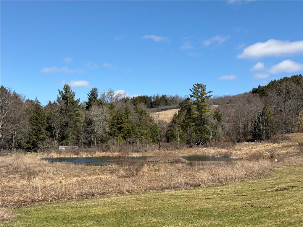 186 Bates-Wilson Road Plymouth, NY 13844 - Photo 36 of 47