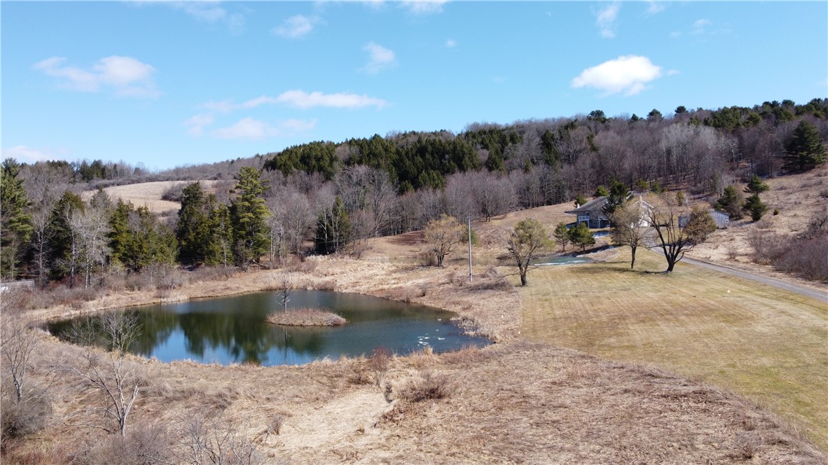 186 Bates-Wilson Road Plymouth, NY 13844 - Photo 40 of 47