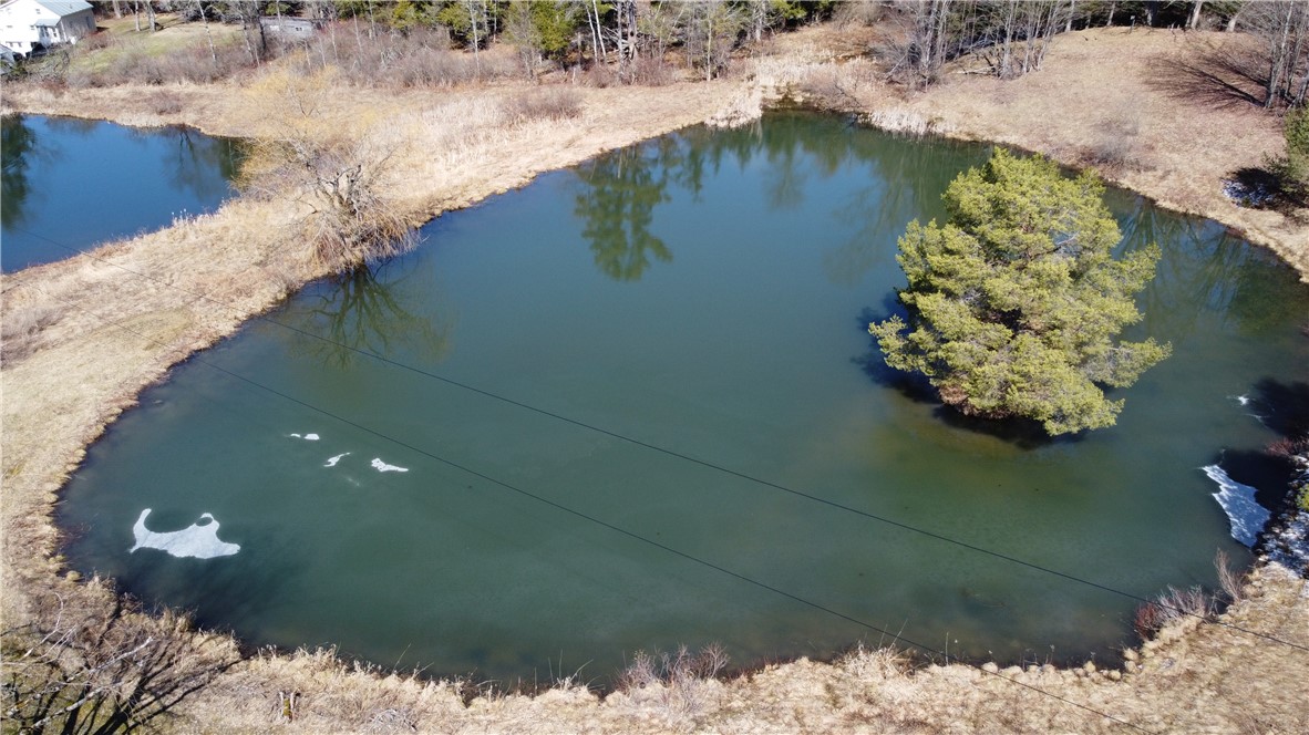 186 Bates-Wilson Road Plymouth, NY 13844 - Photo 42 of 47