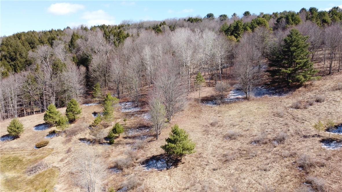 186 Bates-Wilson Road Plymouth, NY 13844 - Photo 45 of 47