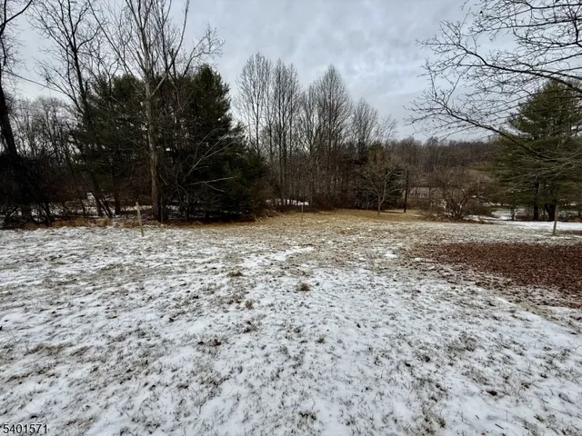 a backyard of a house with large trees