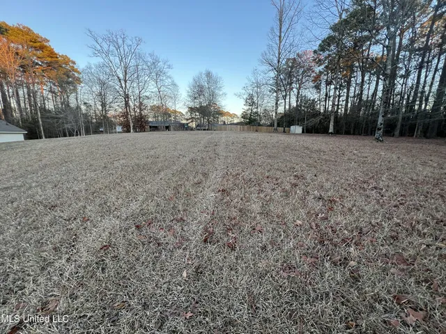 $55,000 | Woodhaven Drive, Carthage, MS 39051