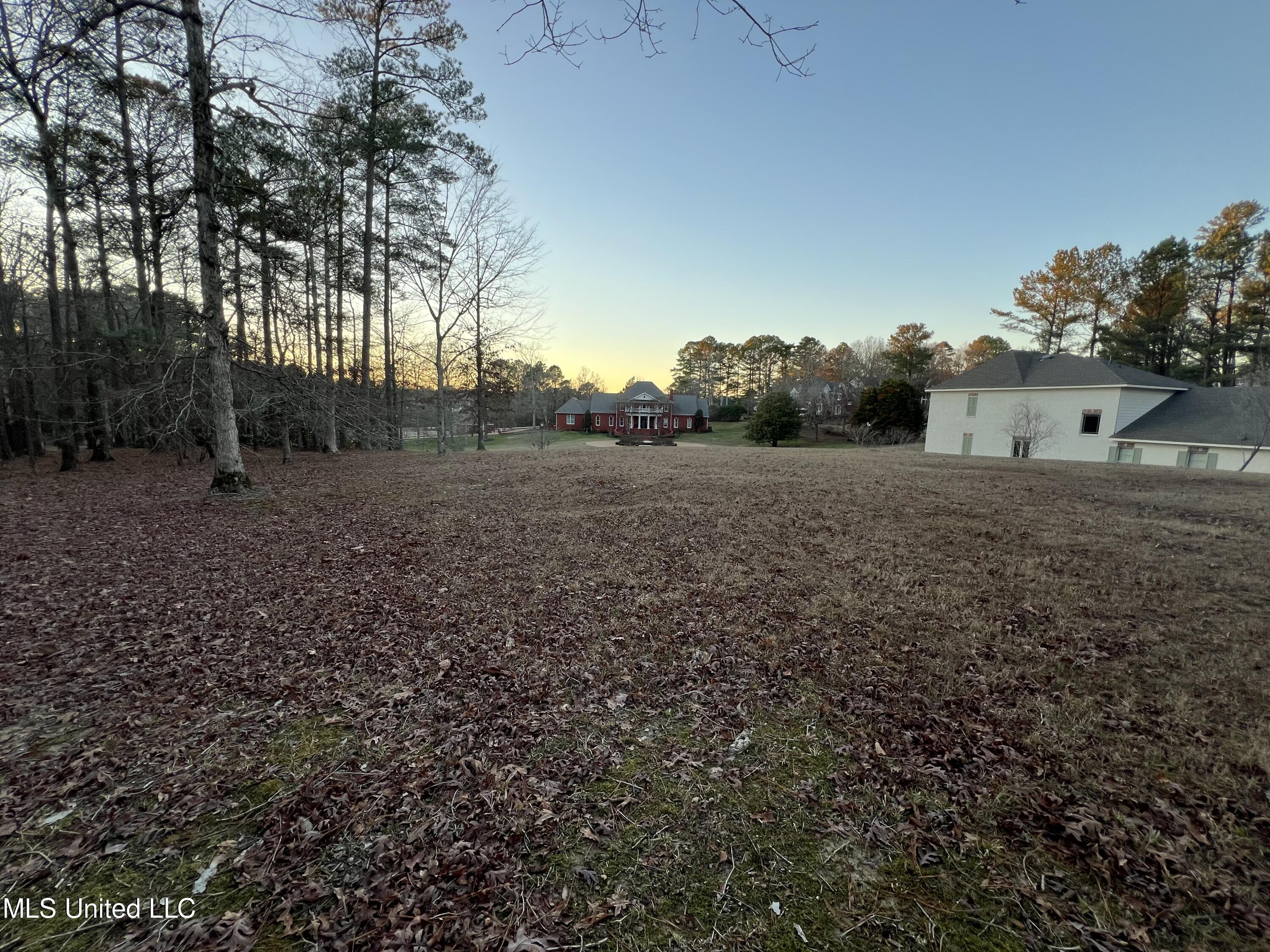 Woodhaven Drive Carthage, MS 39051 - Photo 3 of 4 IMG_9804