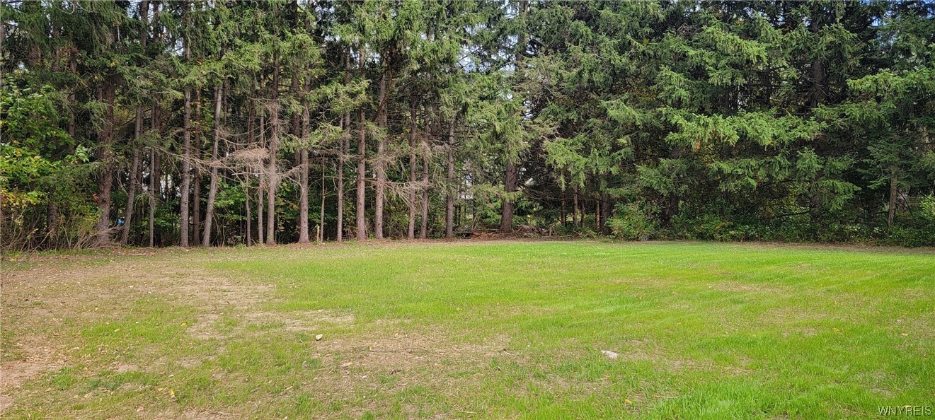2539 Pratt Road Pembroke, NY 14020 - Photo 23 of 28 large back yard with privacy of tree line