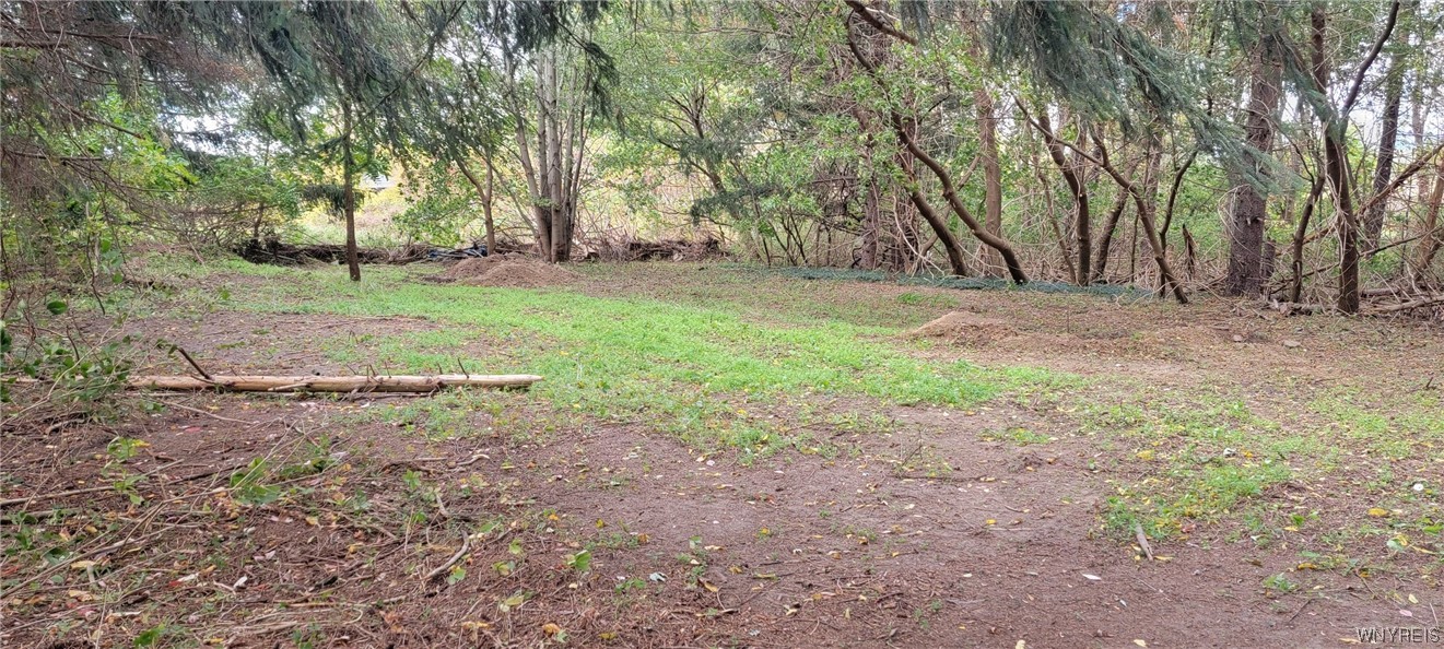 2539 Pratt Road Pembroke, NY 14020 - Photo 24 of 28 septic area of back yard