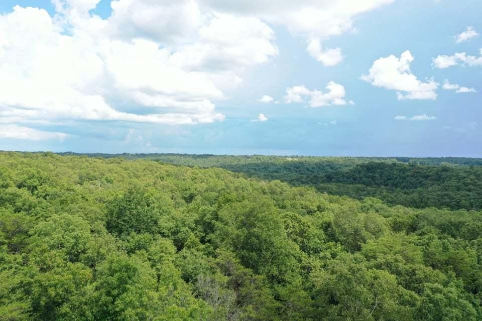 0 Volunteer Road Monterey, TN 38574 - Photo 15 of 31 Gallery Image 15
