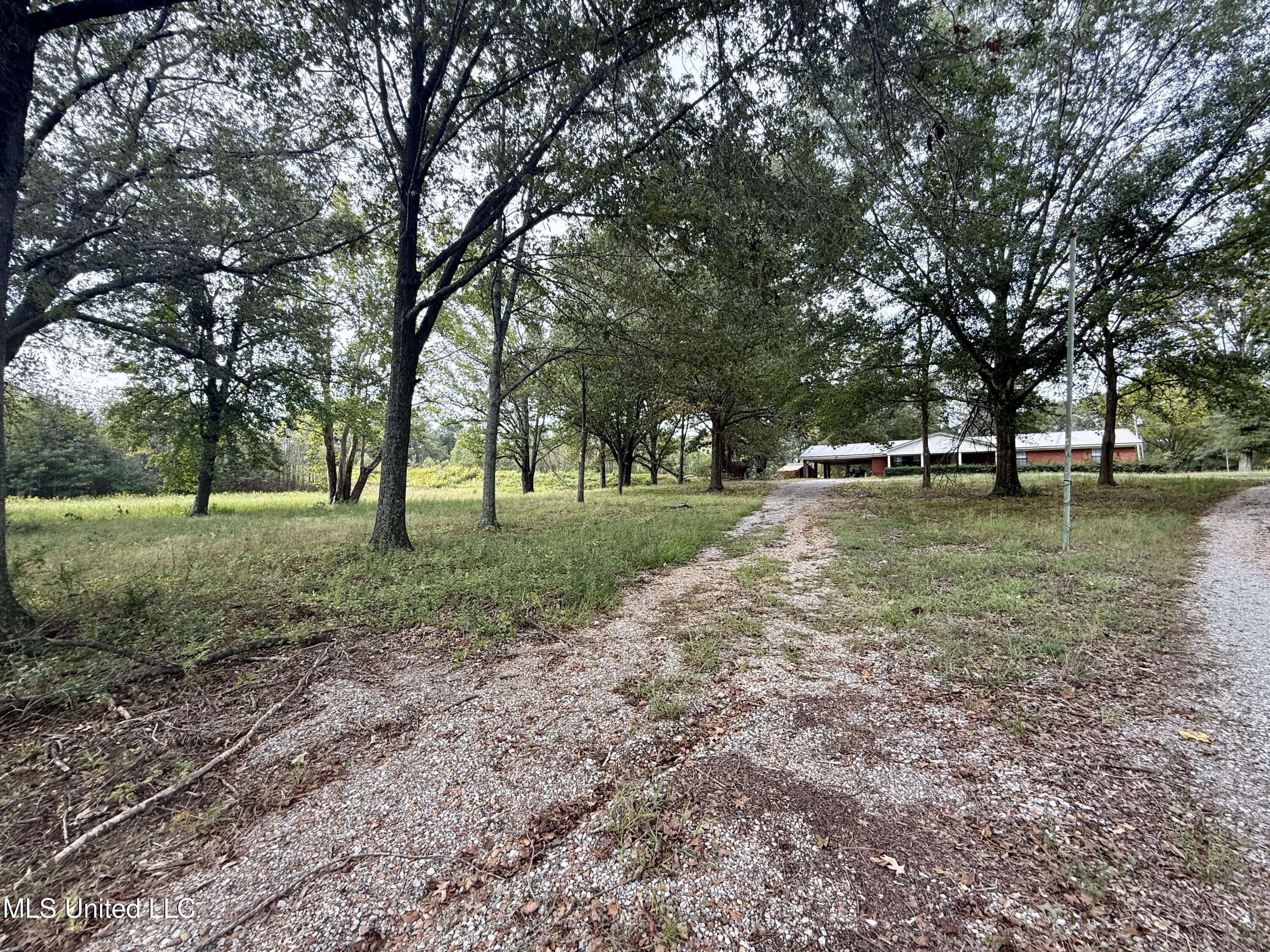 3836 Cleveland Road Hernando, MS 38632 - Photo 14 of 25 185BF30D-C22D-48D5-9F65-5484D1BEDC54_1_2