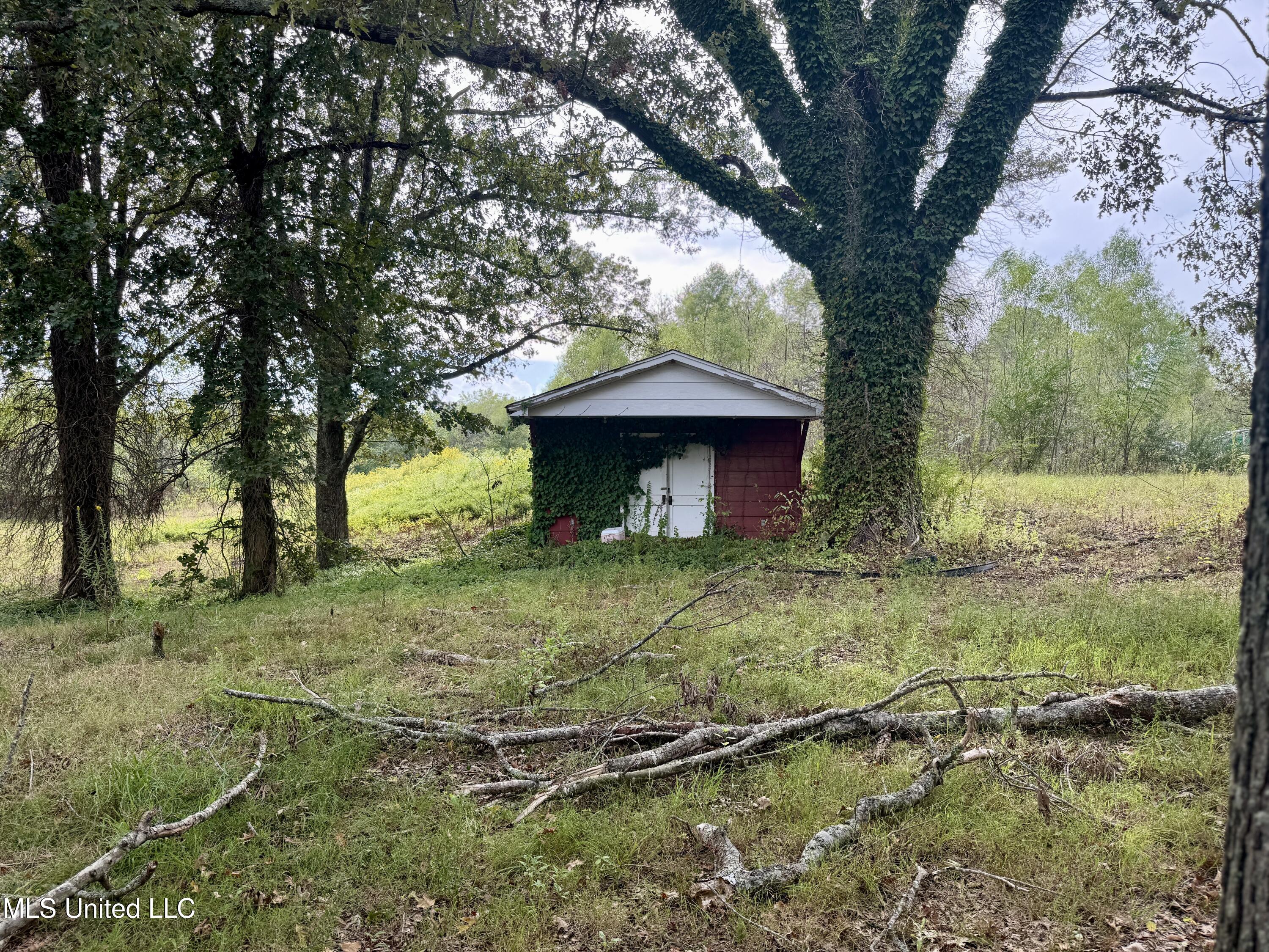 3836 Cleveland Road Hernando, MS 38632 - Photo 16 of 25 IMG_7356