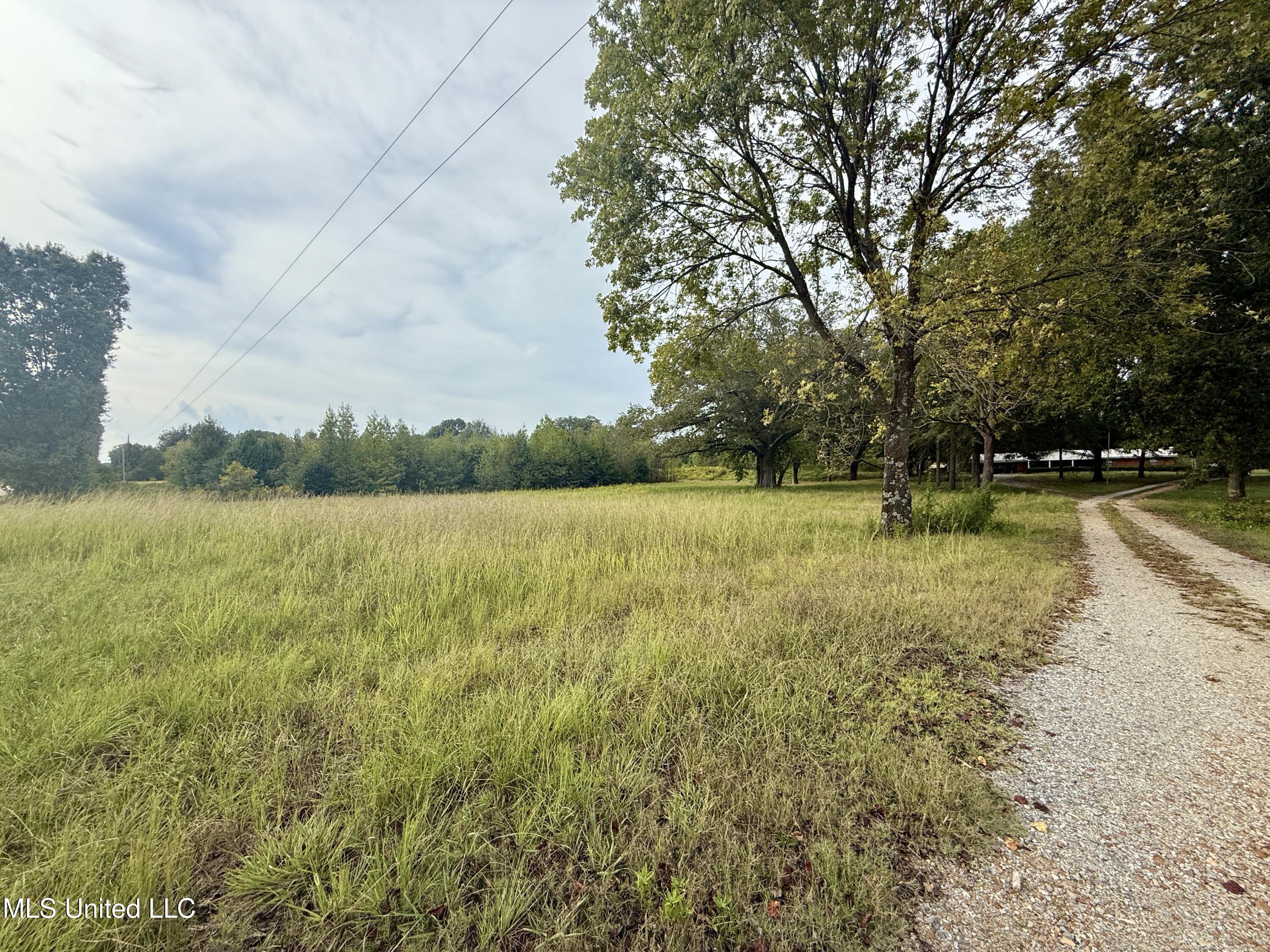 3836 Cleveland Road Hernando, MS 38632 - Photo 20 of 25 IMG_7366