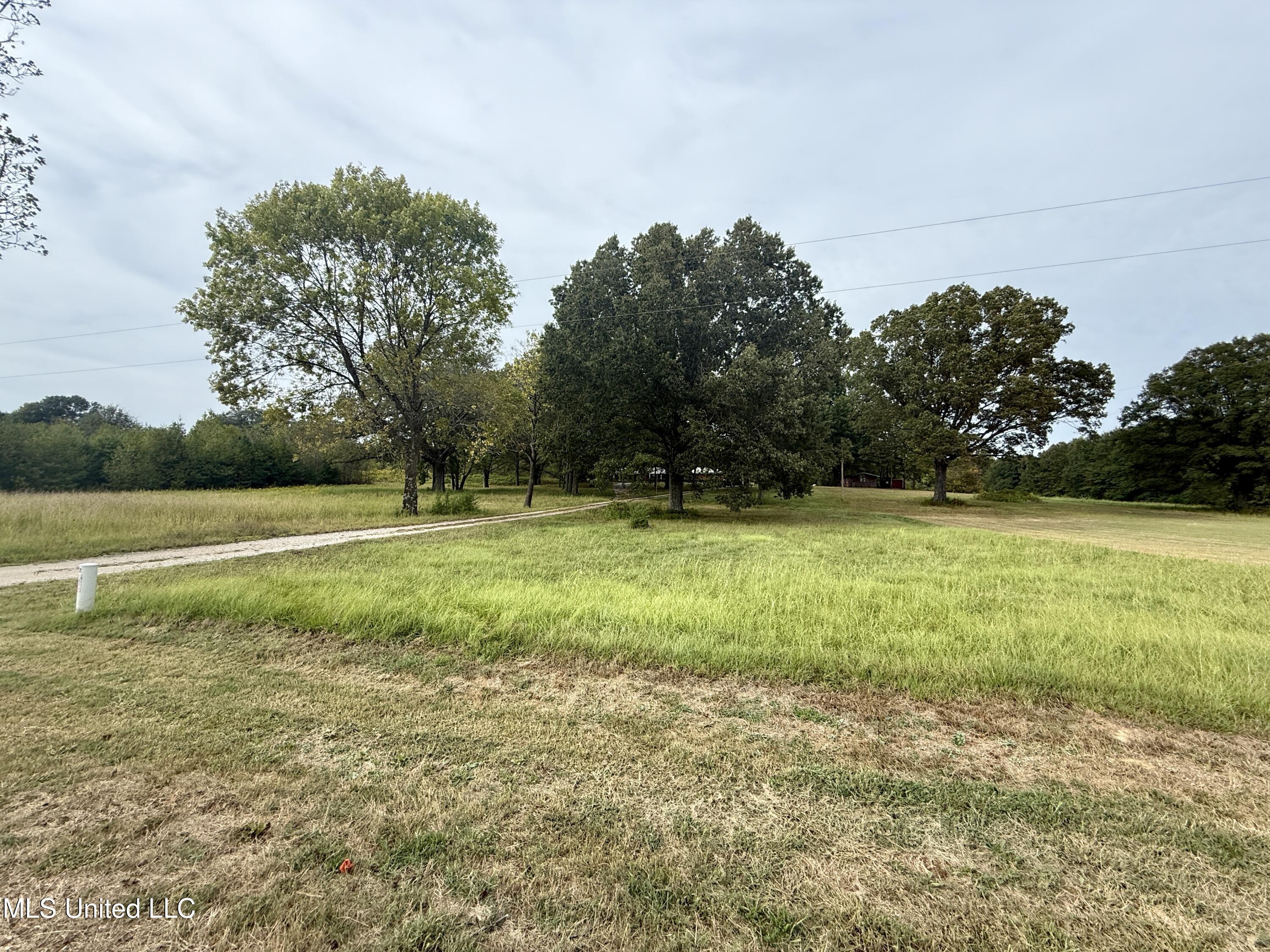 3836 Cleveland Road Hernando, MS 38632 - Photo 21 of 25 IMG_7368