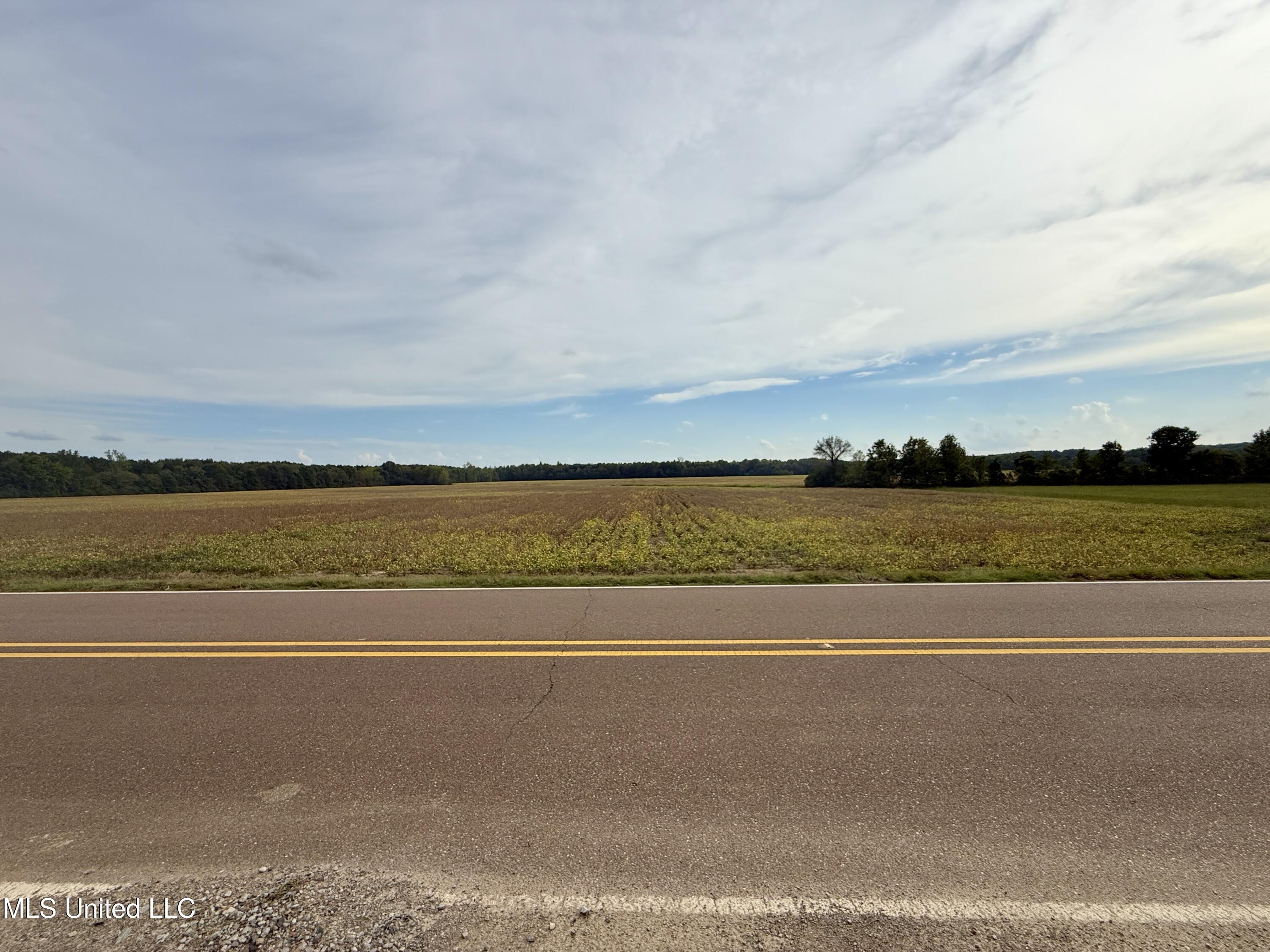 3836 Cleveland Road Hernando, MS 38632 - Photo 22 of 25 IMG_7367
