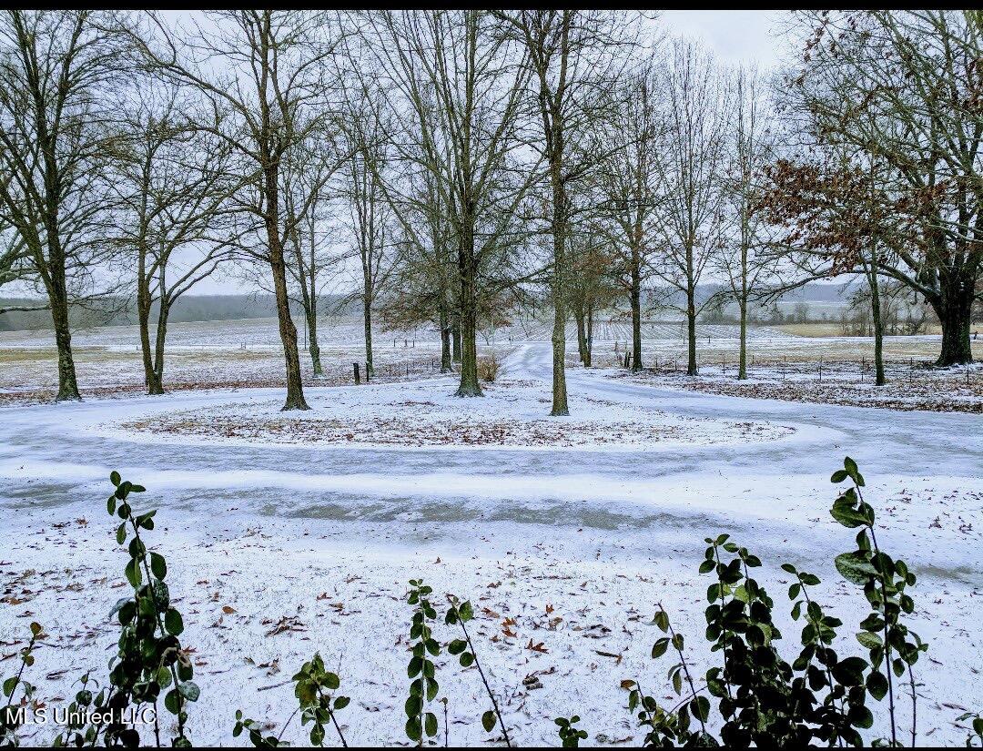 3836 Cleveland Road Hernando, MS 38632 - Photo 23 of 25 Winter