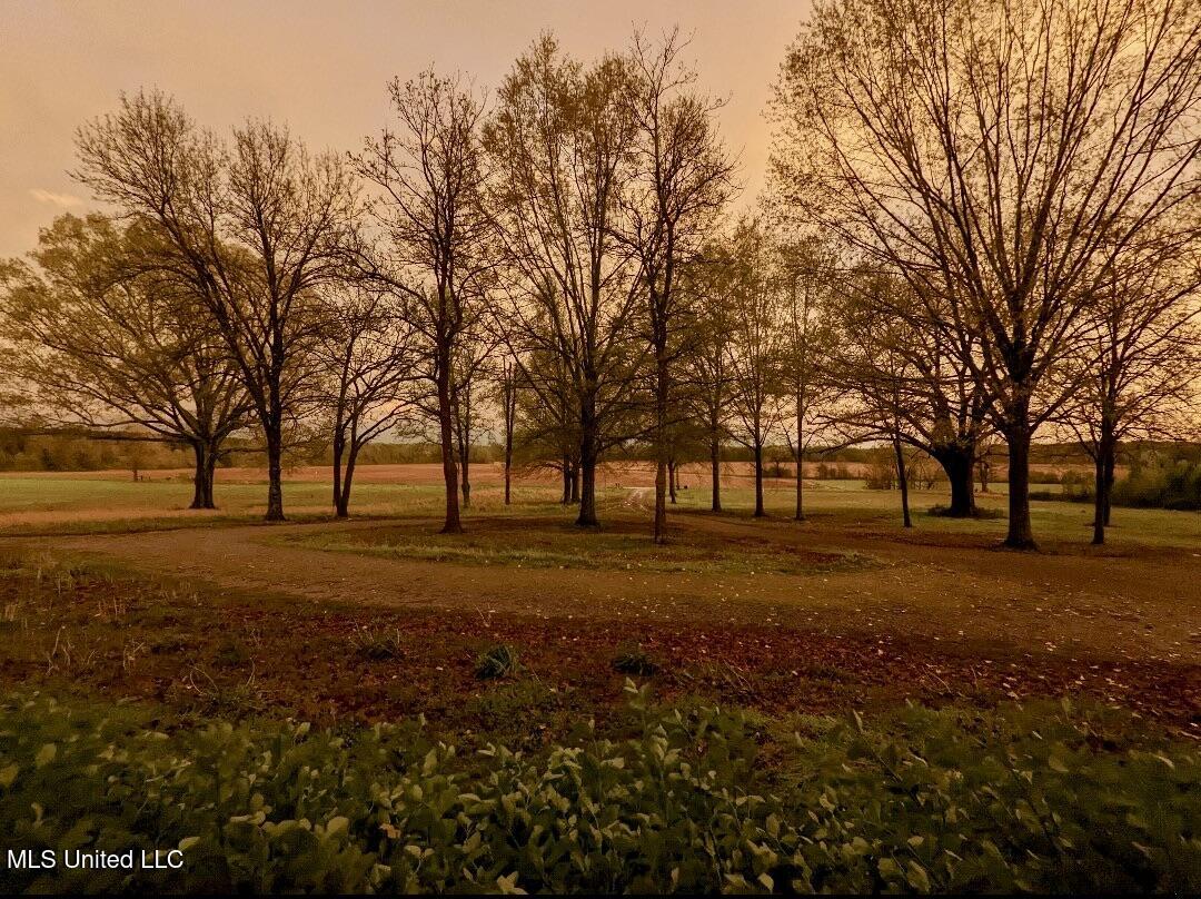 3836 Cleveland Road Hernando, MS 38632 - Photo 24 of 25 Autumn