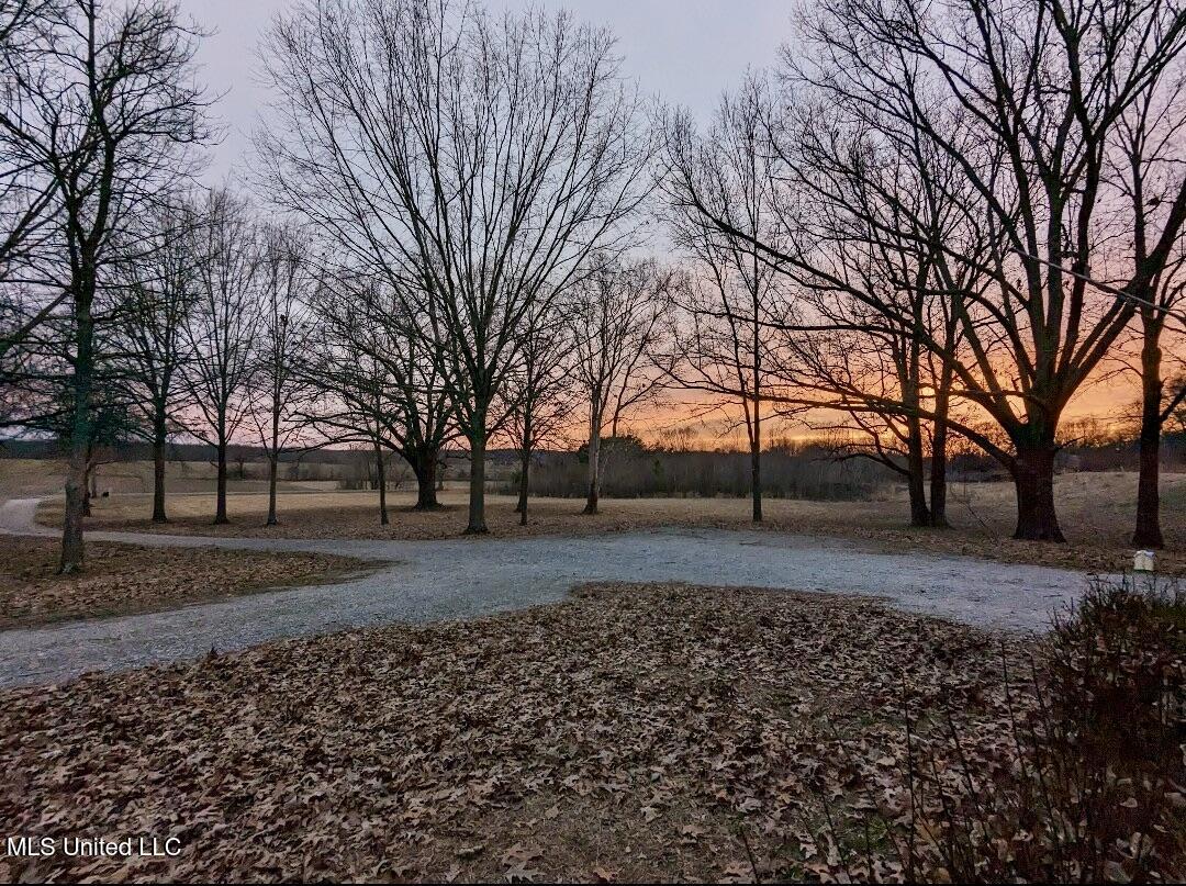 3836 Cleveland Road Hernando, MS 38632 - Photo 25 of 25 Fall