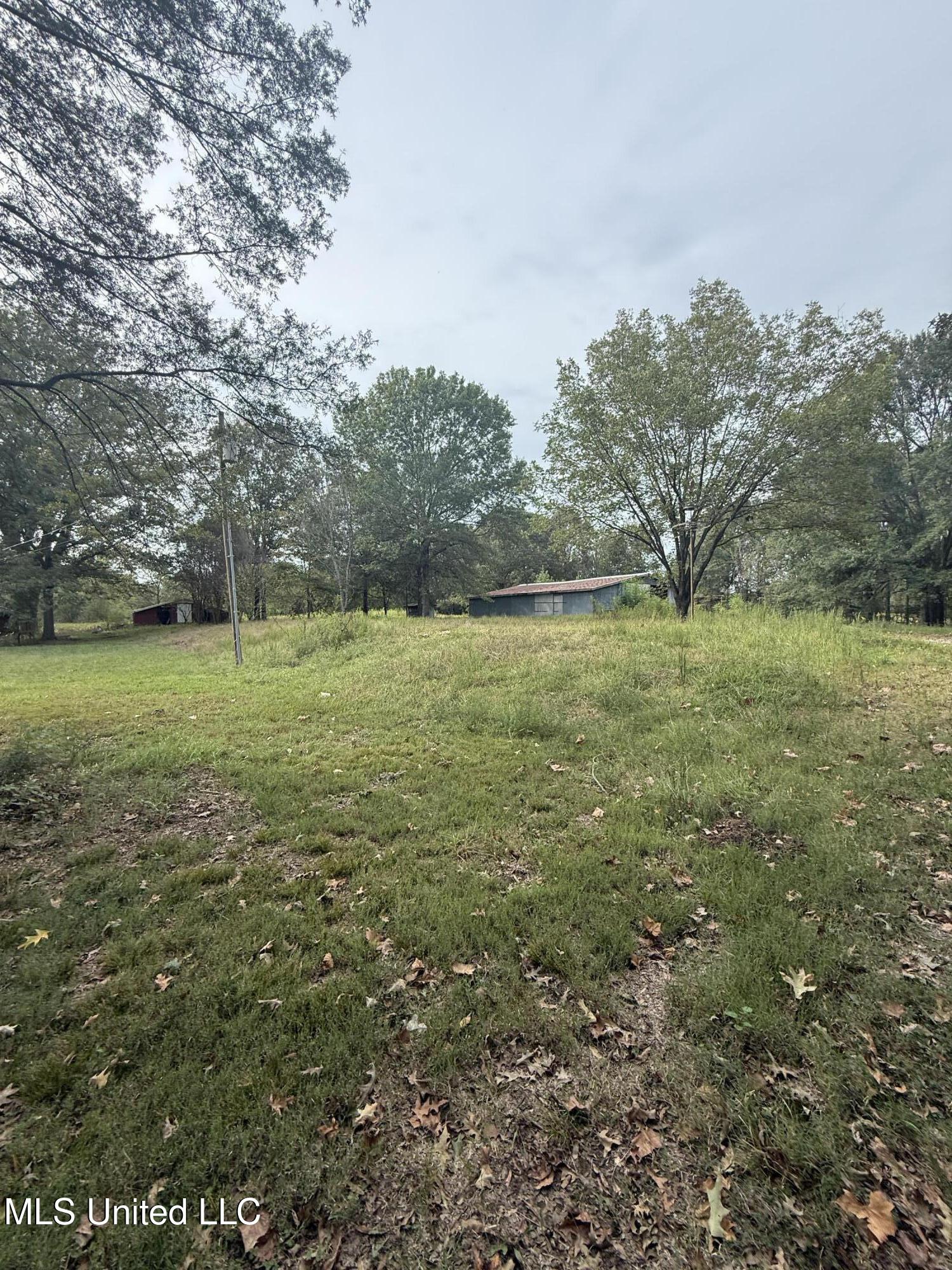 3836 Cleveland Road Hernando, MS 38632 - Photo 5 of 25 408F158C-2122-47D7-A326-28522D5D2C2E