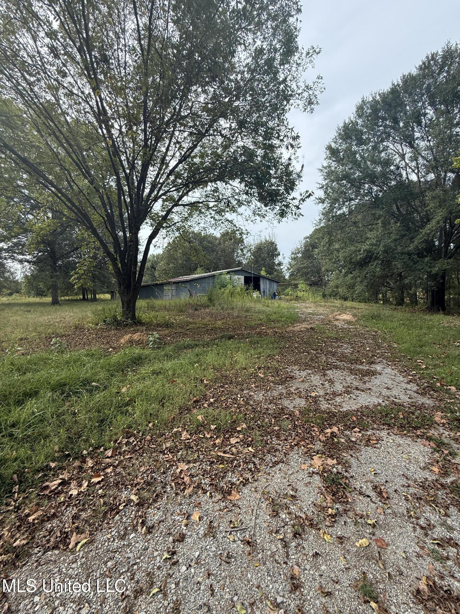3836 Cleveland Road Hernando, MS 38632 - Photo 6 of 25 IMG_7345