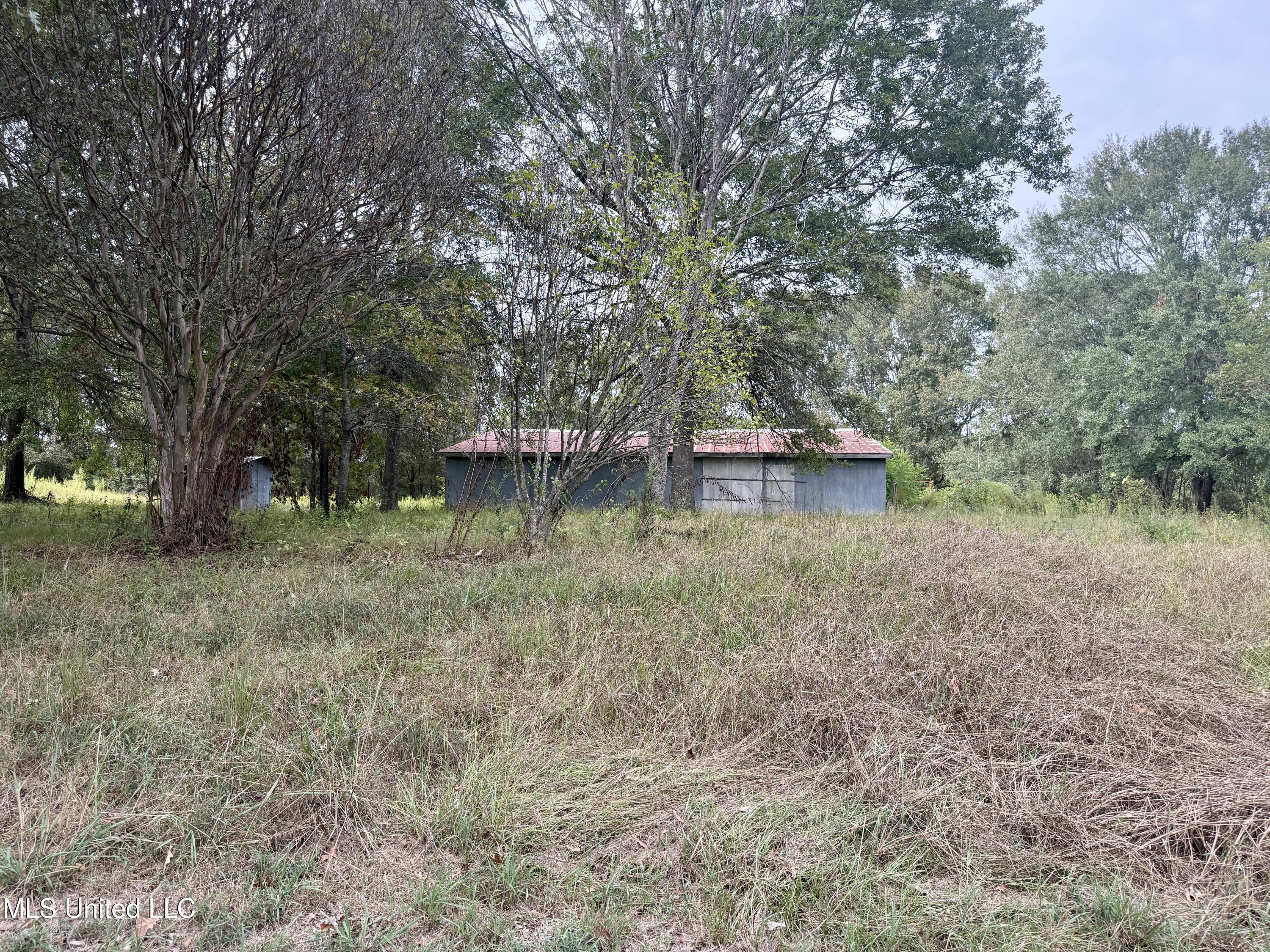 3836 Cleveland Road Hernando, MS 38632 - Photo 7 of 25 BB44DF9A-16E3-476A-959C-5B571E7891DE_1_2