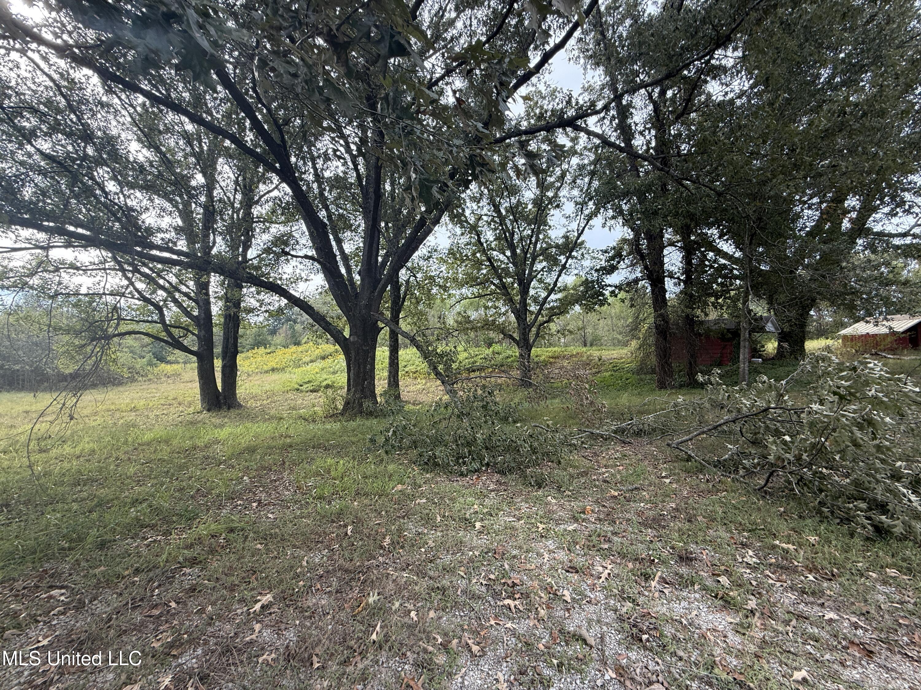 3836 Cleveland Road Hernando, MS 38632 - Photo 8 of 25 2E12BDC0-E732-4EE2-A403-0DC87A94CC50