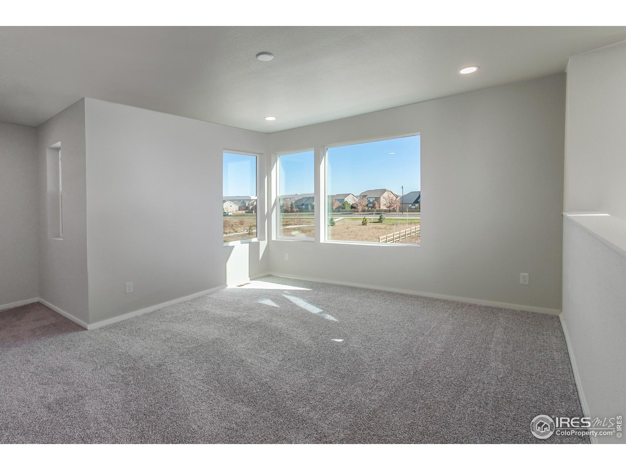 5409 Yancy Street Timnath, CO 80547 - Photo 19 of 48 LOFT