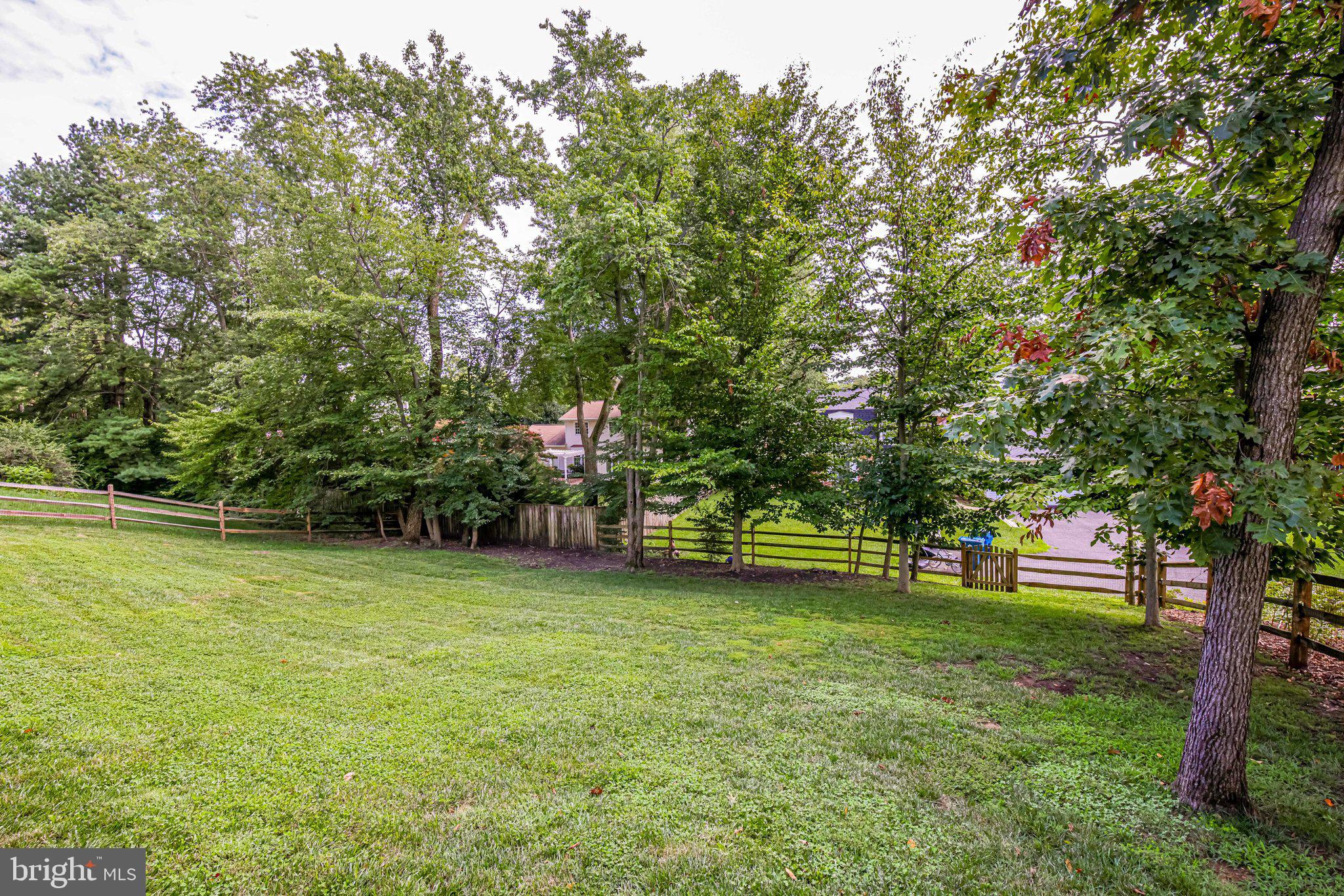 6905 Raspberry Plain Place Springfield, VA 22153 - Photo 12 of 66