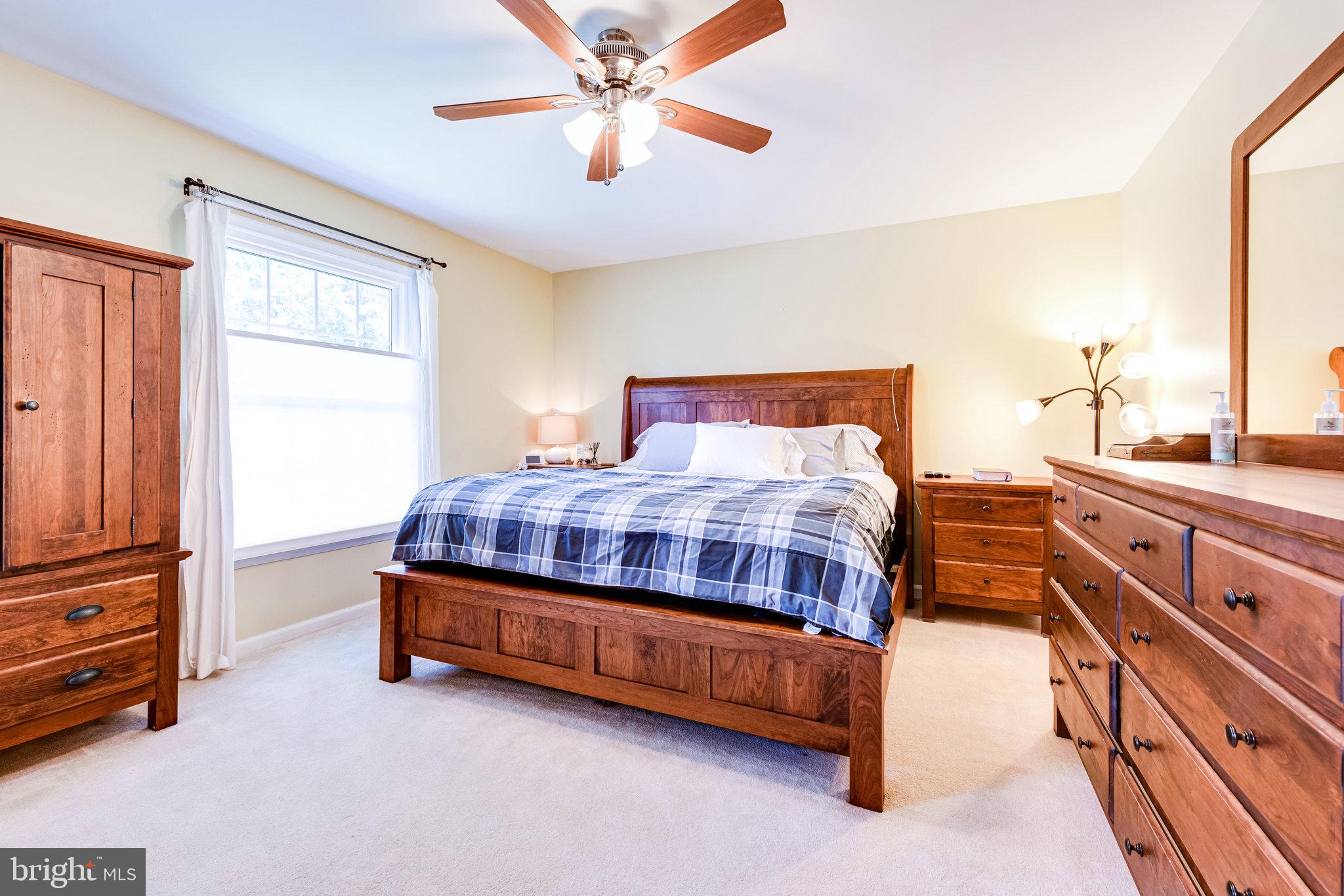 6905 Raspberry Plain Place Springfield, VA 22153 - Photo 36 of 66 Primary Bedroom