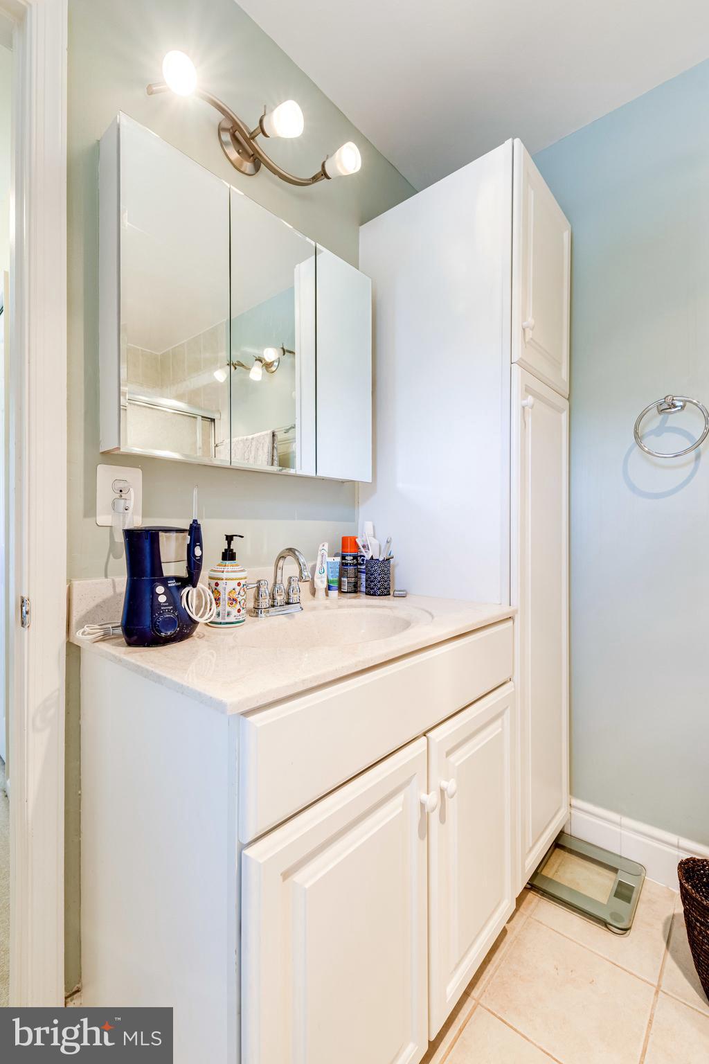 6905 Raspberry Plain Place Springfield, VA 22153 - Photo 41 of 66