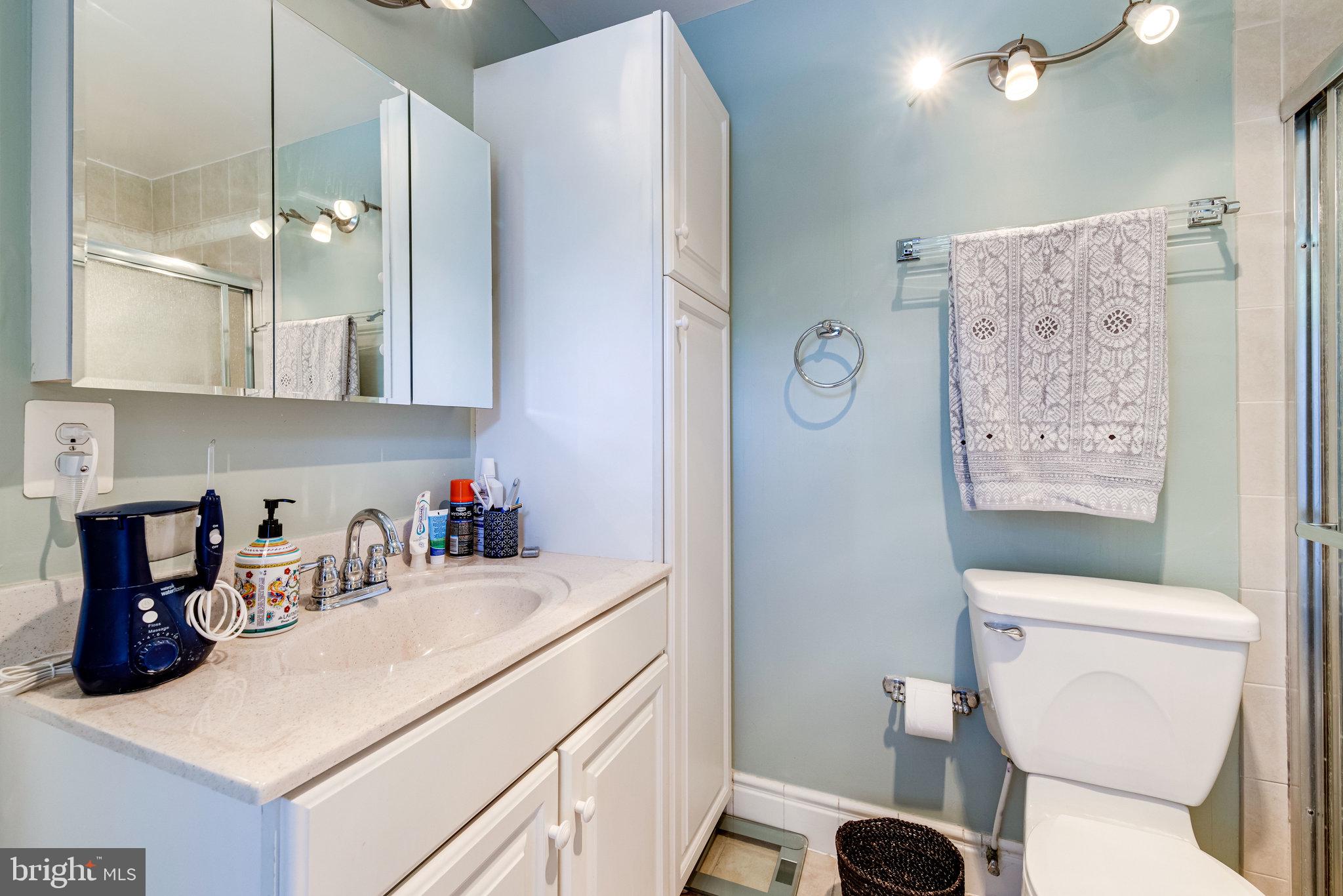 6905 Raspberry Plain Place Springfield, VA 22153 - Photo 42 of 66