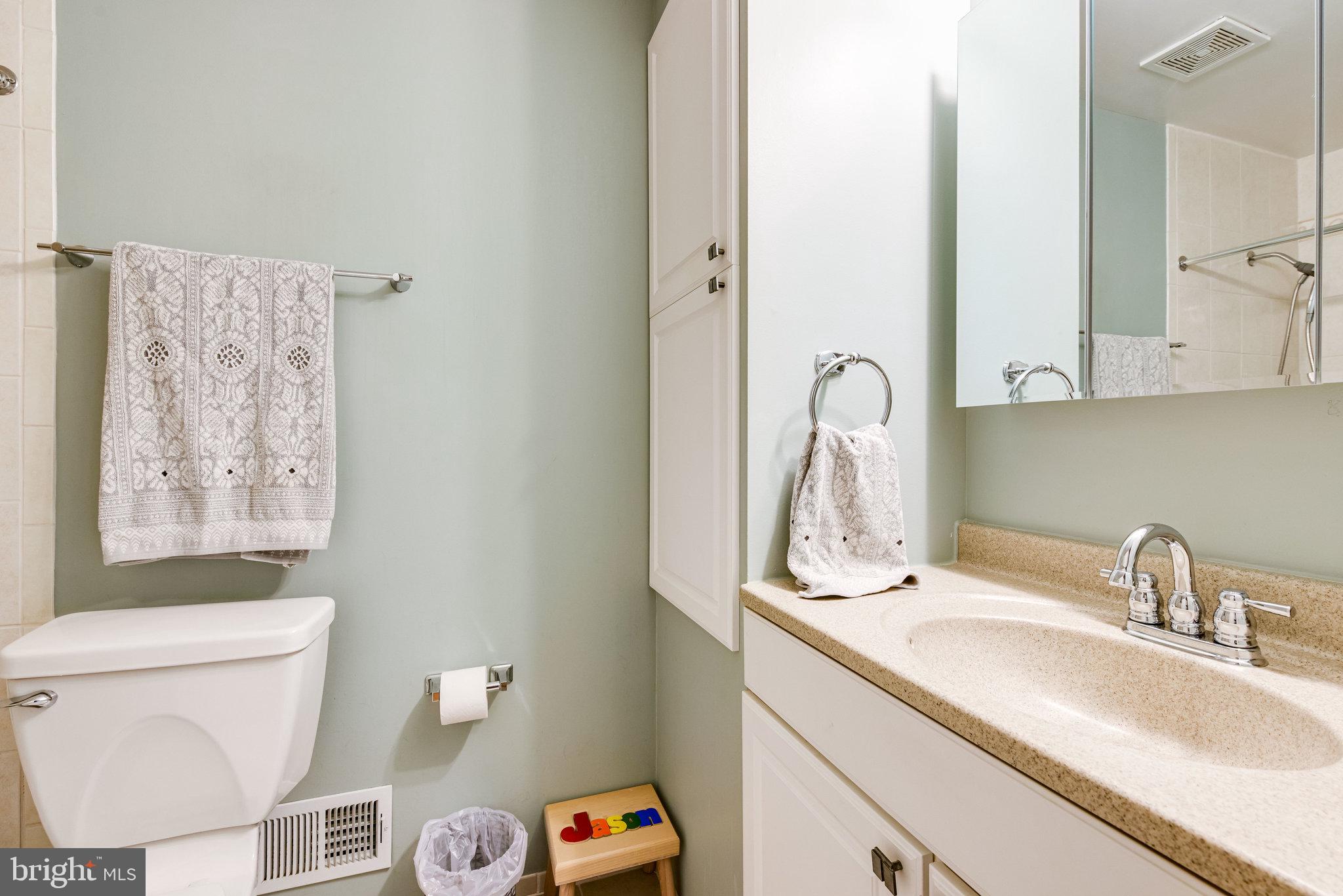 6905 Raspberry Plain Place Springfield, VA 22153 - Photo 55 of 66