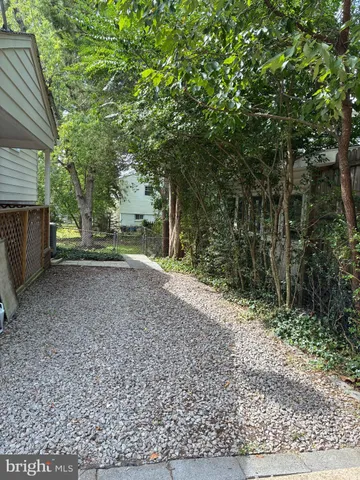 a view of a yard with plants and trees