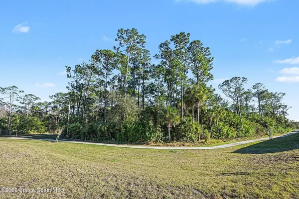 a view of a field with an trees