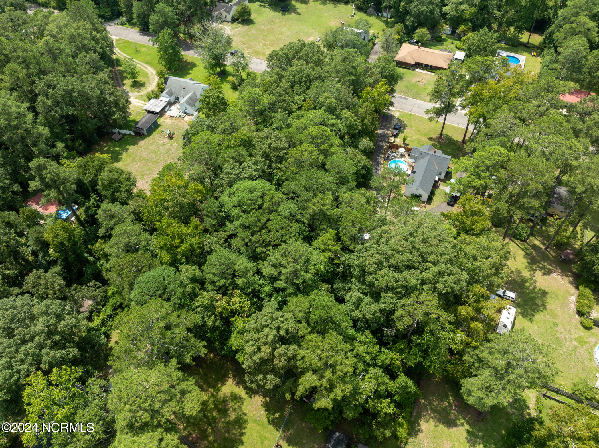 Tbd Deweese Avenue Rockingham, NC 28379 - Photo 9 of 11 DJI_0375-2