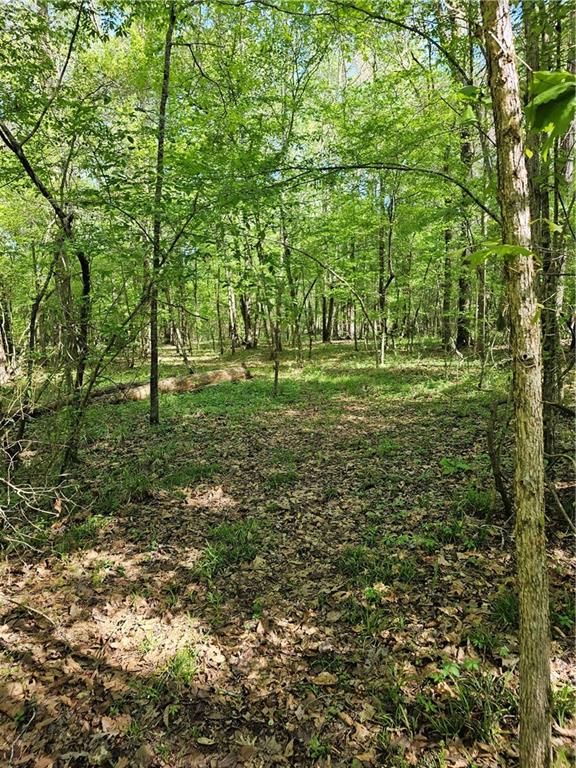 383 Nation Road Deville, LA 71328 - Photo 28 of 29