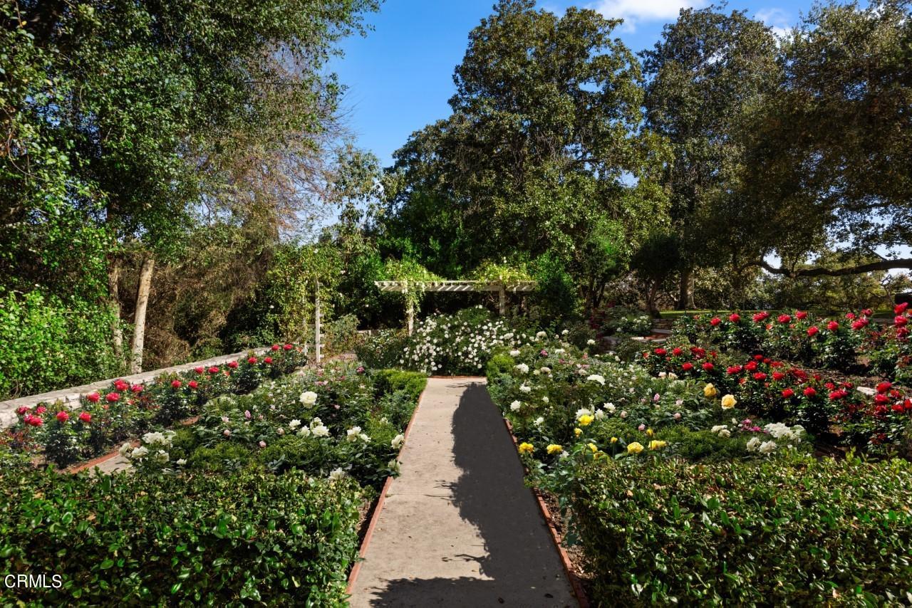 Undisclosed Address San Marino, CA 91108 - Photo 39 of 54 rose-garden-1550