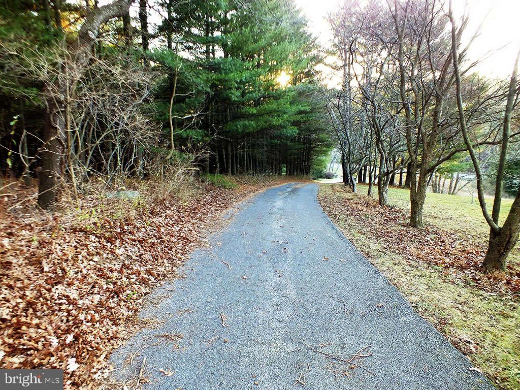 19211 Falls Road Hampstead, MD 21074 - Photo 20 of 25 Tree-Lined Driveway
