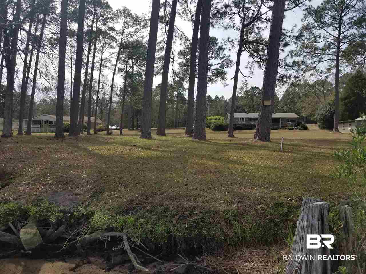 Lot 60 Clarke Ridge Road Foley, AL 36535 - Photo 4 of 12 Lot is almost 8' of elevation at bank