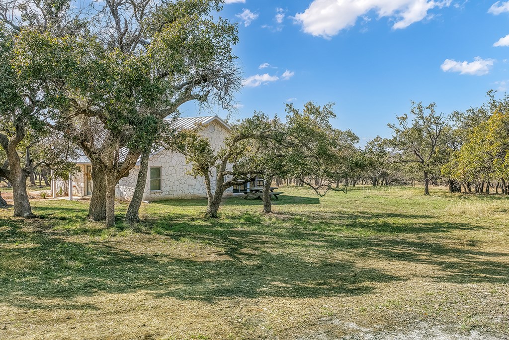 20400 Fm 2093 Harper, TX 78631 - Photo 15 of 39 a large yard with lots of green space and trees