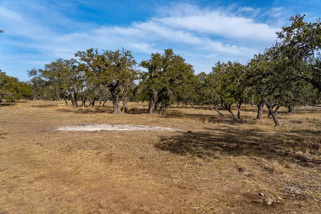 a view of dirt yard and covered with trees