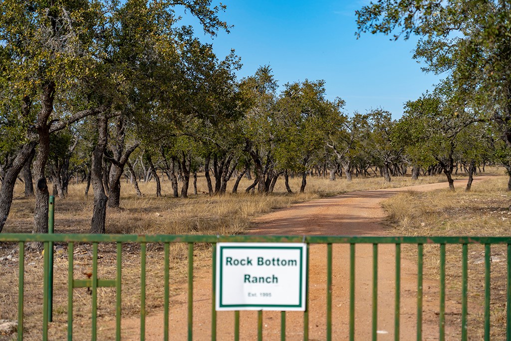 20400 Fm 2093 Harper, TX 78631 - Photo 23 of 39 a view of a yard with large trees