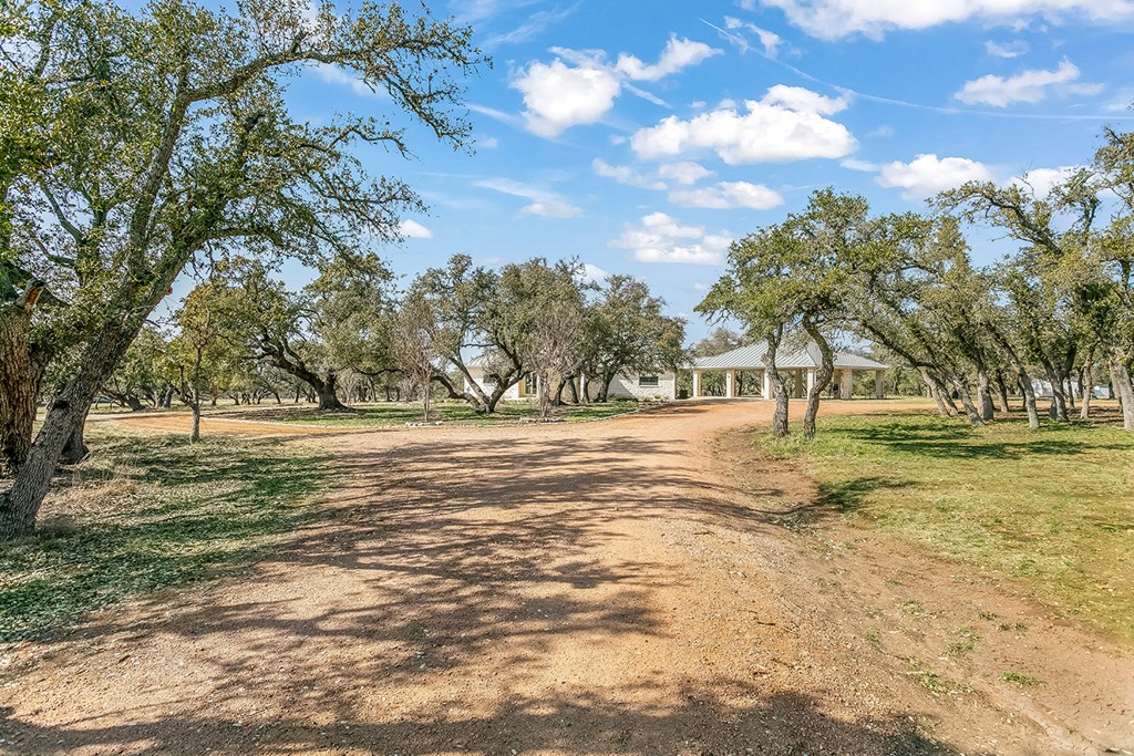 20400 Fm 2093 Harper, TX 78631 - Photo 30 of 39 a view of road with large trees