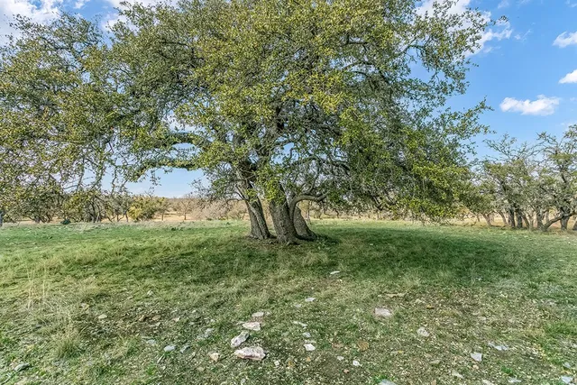 a view of outdoor space and yard