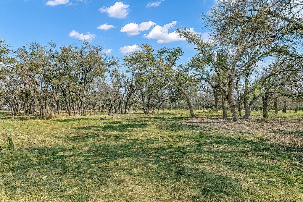 20400 Fm 2093 Harper, TX 78631 - Photo 38 of 39 a view of outdoor space with trees all around