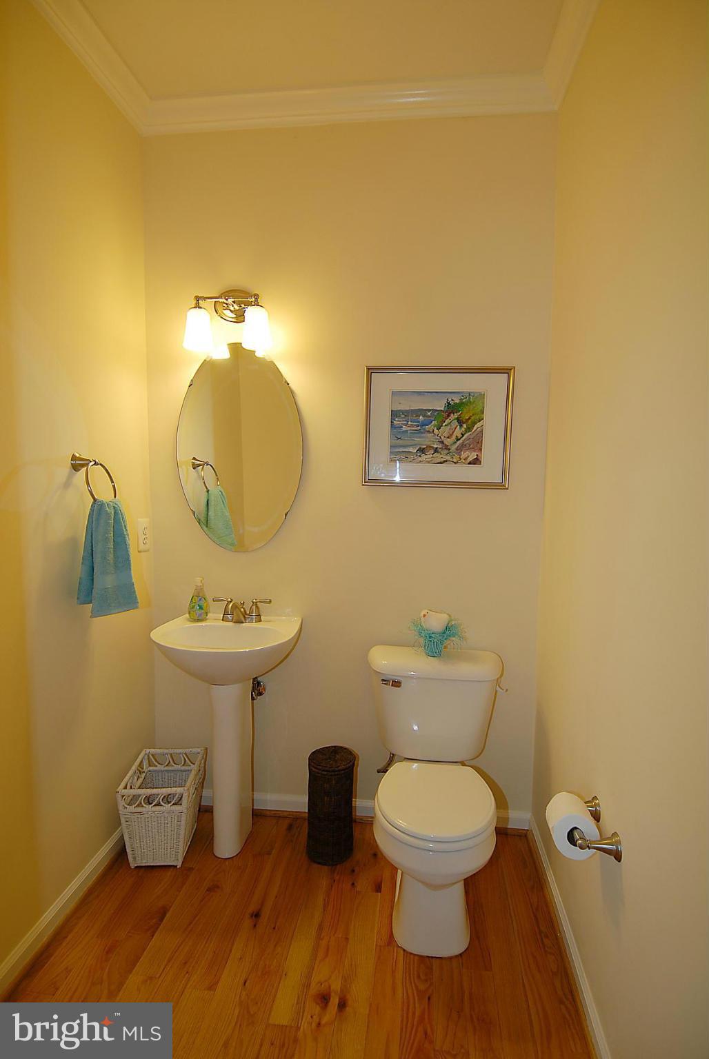 43233 Stillforest Terrace Ashburn, VA 20147 - Photo 7 of 30 a bathroom with a toilet sink and mirror