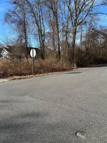 a street view with large trees