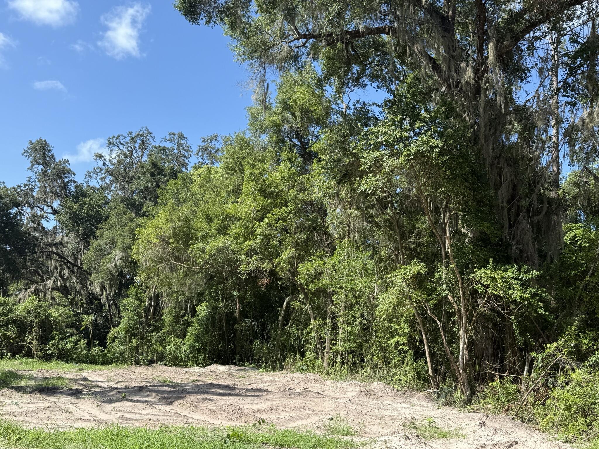 115 Roddy Lane Palatka, FL 32177 - Photo 2 of 5 a view of a yard