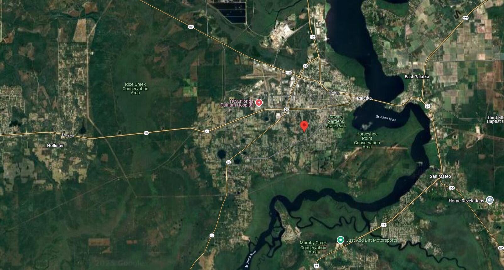 115 Roddy Lane Palatka, FL 32177 - Photo 4 of 5 a close up of a plant in a garden