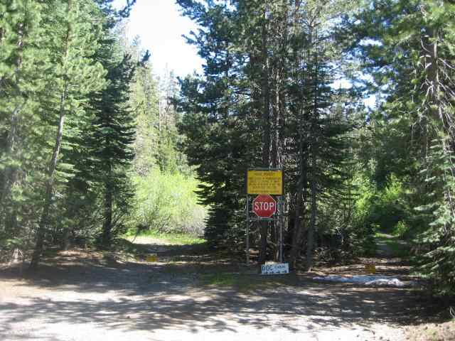 245 Lake Mary Road Truckee, CA 96161 - Photo 3 of 7 Gallery Image 3