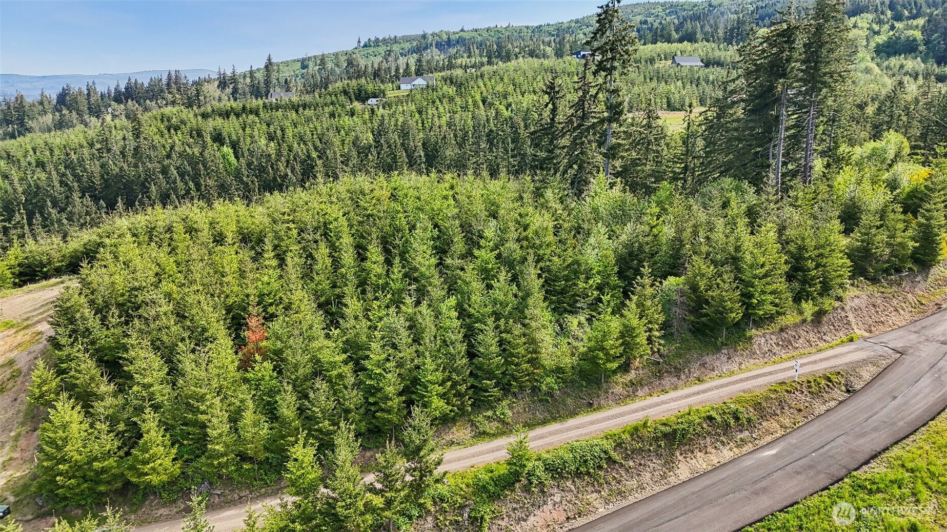 143 Bootjack Lane, Unit LOT 1 Kelso, WA 98626 - Photo 39 of 39