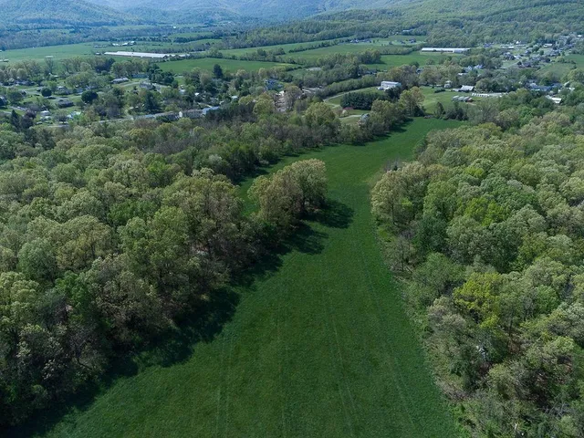 a view of a lush green forest with trees and some houses