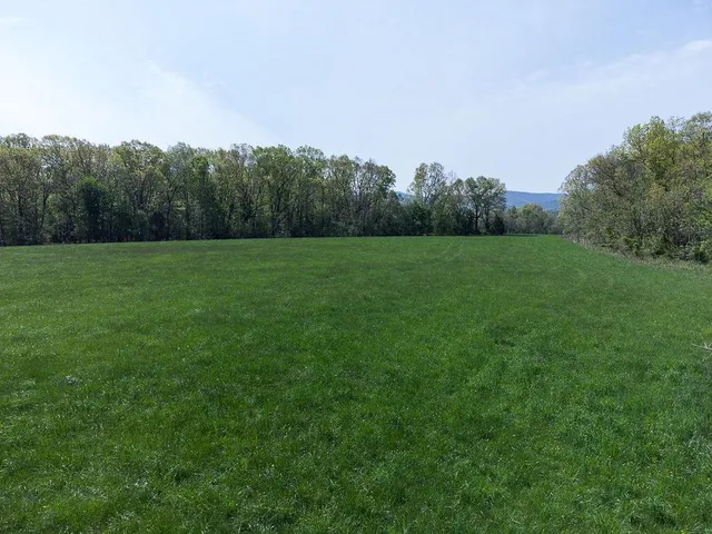 a view of field with trees in the background
