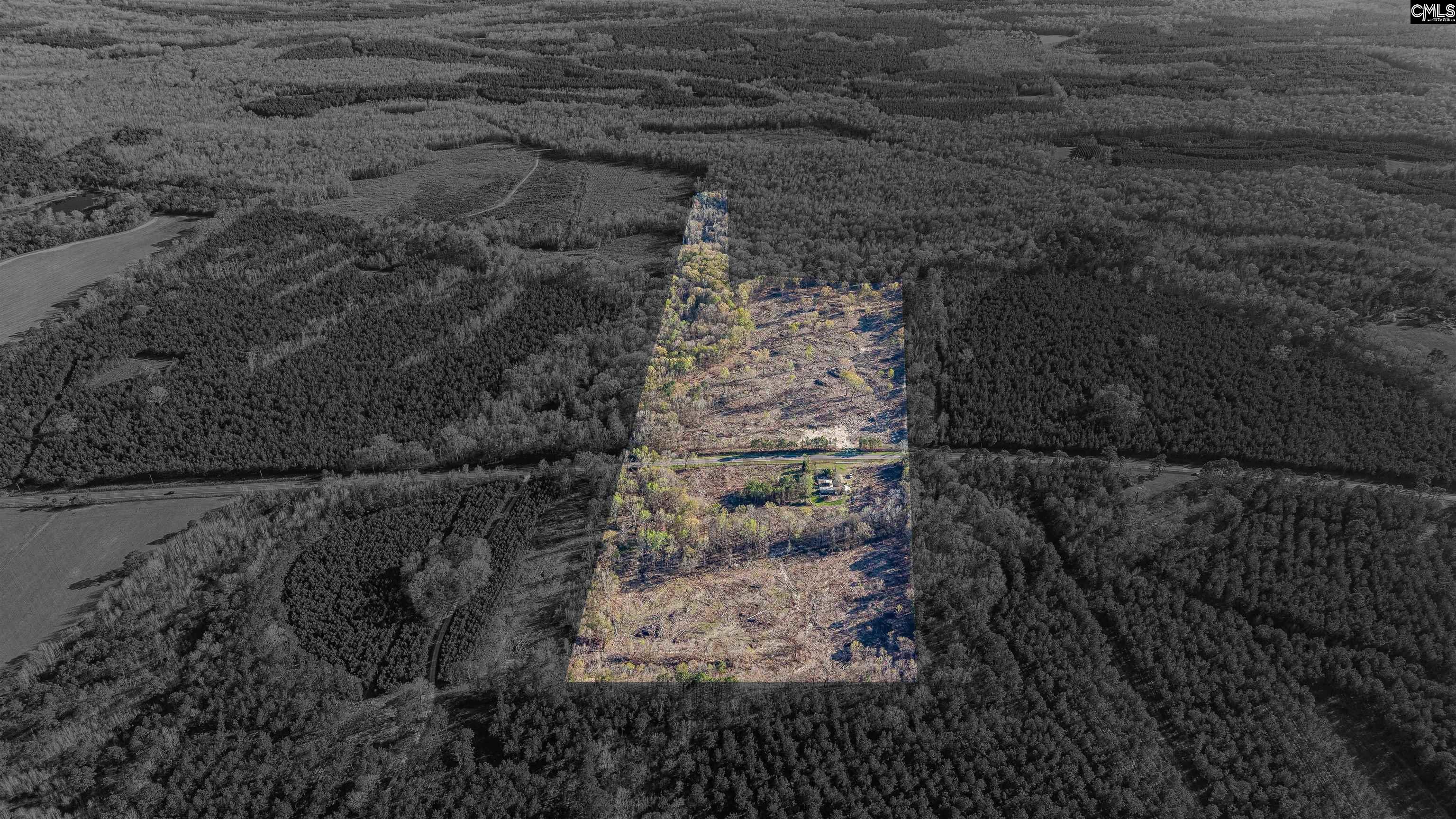 1856 River Road Greeleyville, SC 29056 - Photo 1 of 31